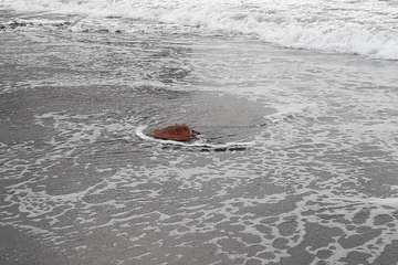 Ruta por la costa en memoria de José Luis González Ruano (Foto Ildefonso Rodríguez y TA)
